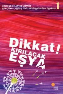 Gençlere Çağdaş Türk Edebiyatından Öyküler 1 - Dikkat! Kırılacak Eşya
