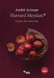 Harvard Meydanı