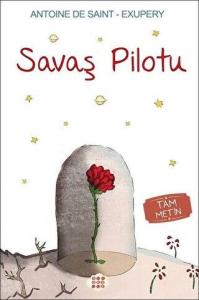 Savaş Pilotu