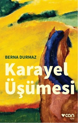 Karayel Üşümesi Berna Durmaz Can Yayınları 9789750729973