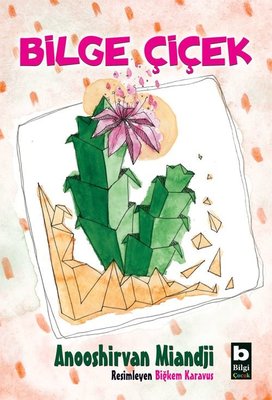 Bilge Çiçek Anooshirvan Miandji Bilgi Yayınevi 9789752208919