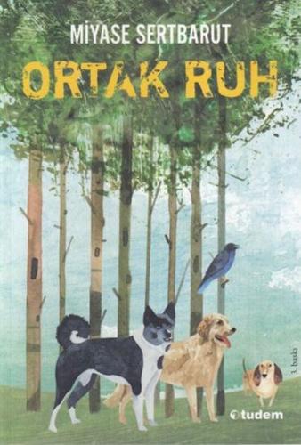 Ortak Ruh Miyase Sertbarut