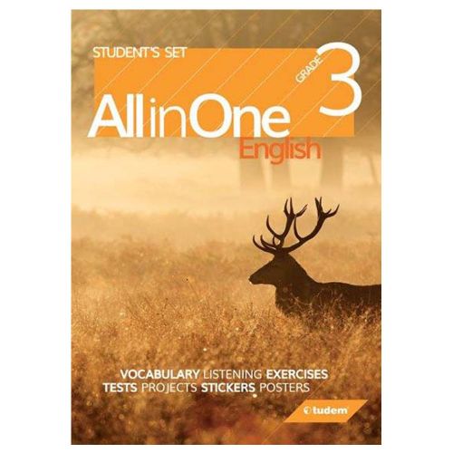 3. Sınıf All in One Grade 3