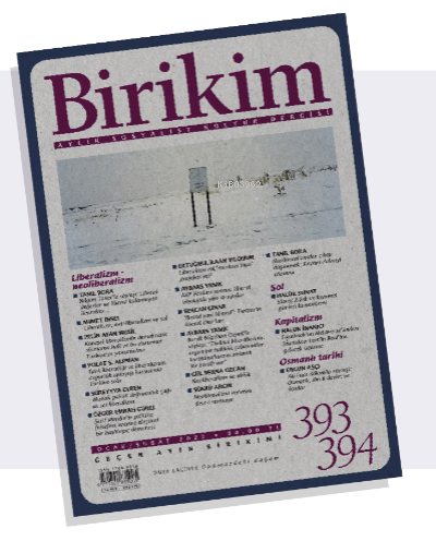 Birikim;393-394 Ocak-Şubat