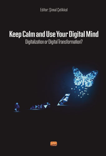 Keep Calm and Use Your Digital Mind - Digitization or Digital Transfor