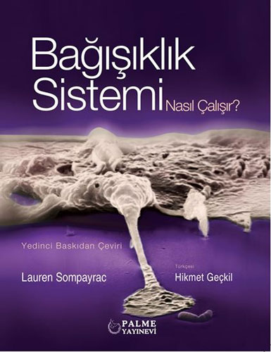 Bağışıklık Sistemi Nasıl Çalışır?