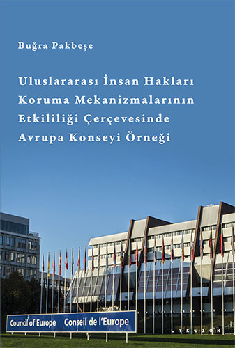 Uluslararası İnsan Hakları Koruma Mekanizmalarının Etkililiği Çerçeves