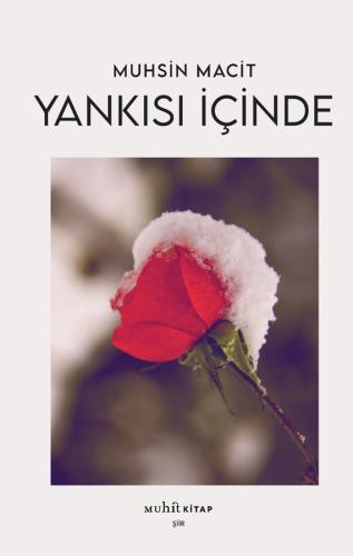 Yankısı İçinde