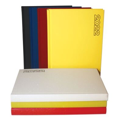 Bayındır Ajanda Ekonomik Çizgili 2022 17x24