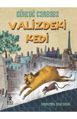 VALİZDEKİ KEDİ