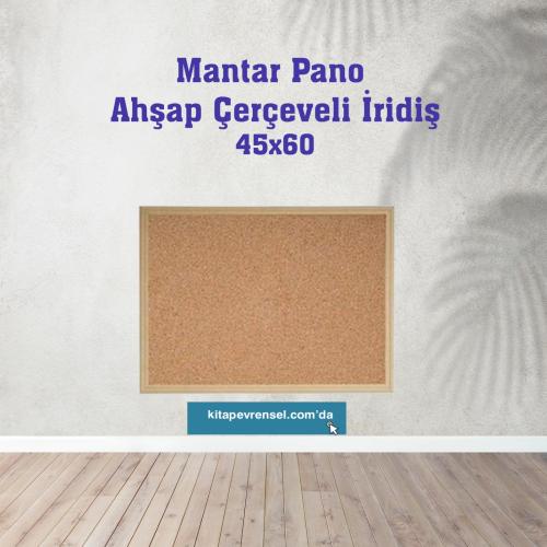Mantar Pano - Ahsap Çerçeve 45X60 Cm AVCB14560